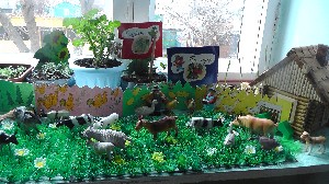 �����������